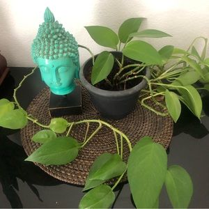 Artesian Round Woven Rattan Placemat (4)